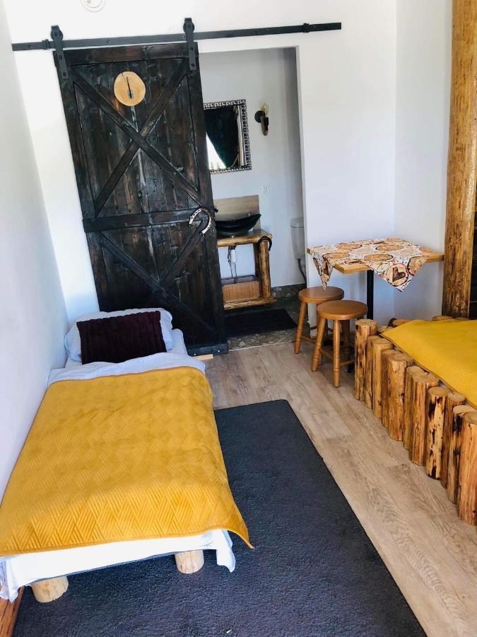 Rochowa Buznica Zakopane Exteriér fotografie